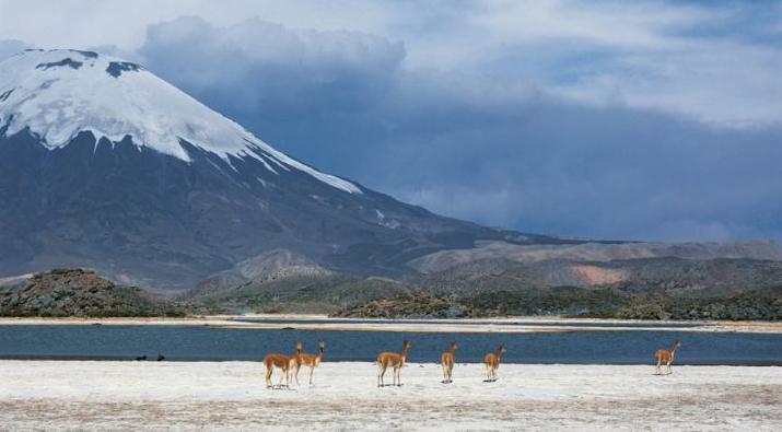 Se presentará libro con fotografías que reflejan la belleza del paisaje de Chile
