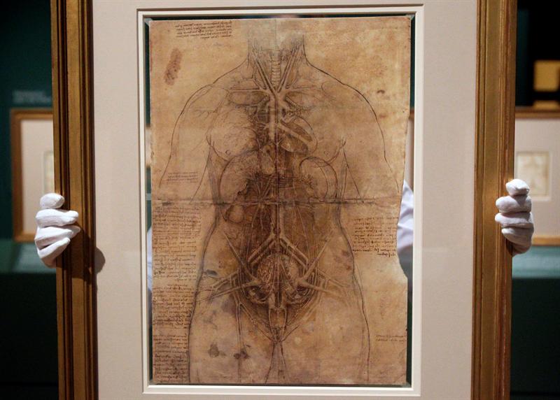 Dibujos inéditos de Leonardo da Vinci se exponen en Londres