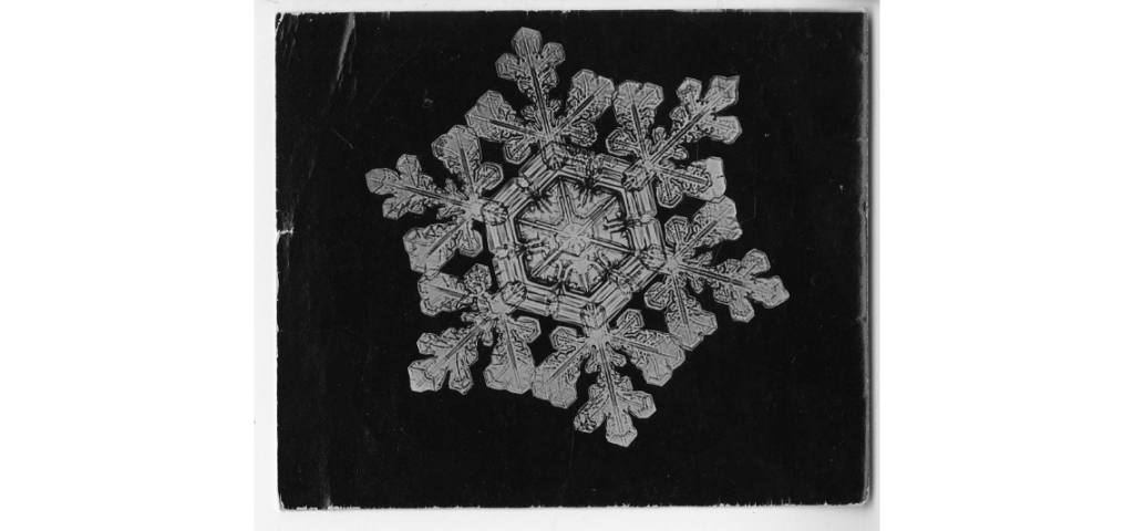 Compilación con las primeras fotografías de copos de nieve en 1885